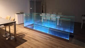 A modern kitchen with a glass partition, wooden flooring, and a dining area with a table and chairs. - Villa 110m2 Avec Piscine Très Bonne Emplacement 10mn à Pied Plages et Commerces (Mèze)