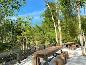 รูปภาพที่ไม่ได้จัดประเภท, 2 จาก 58, ปุ่ม