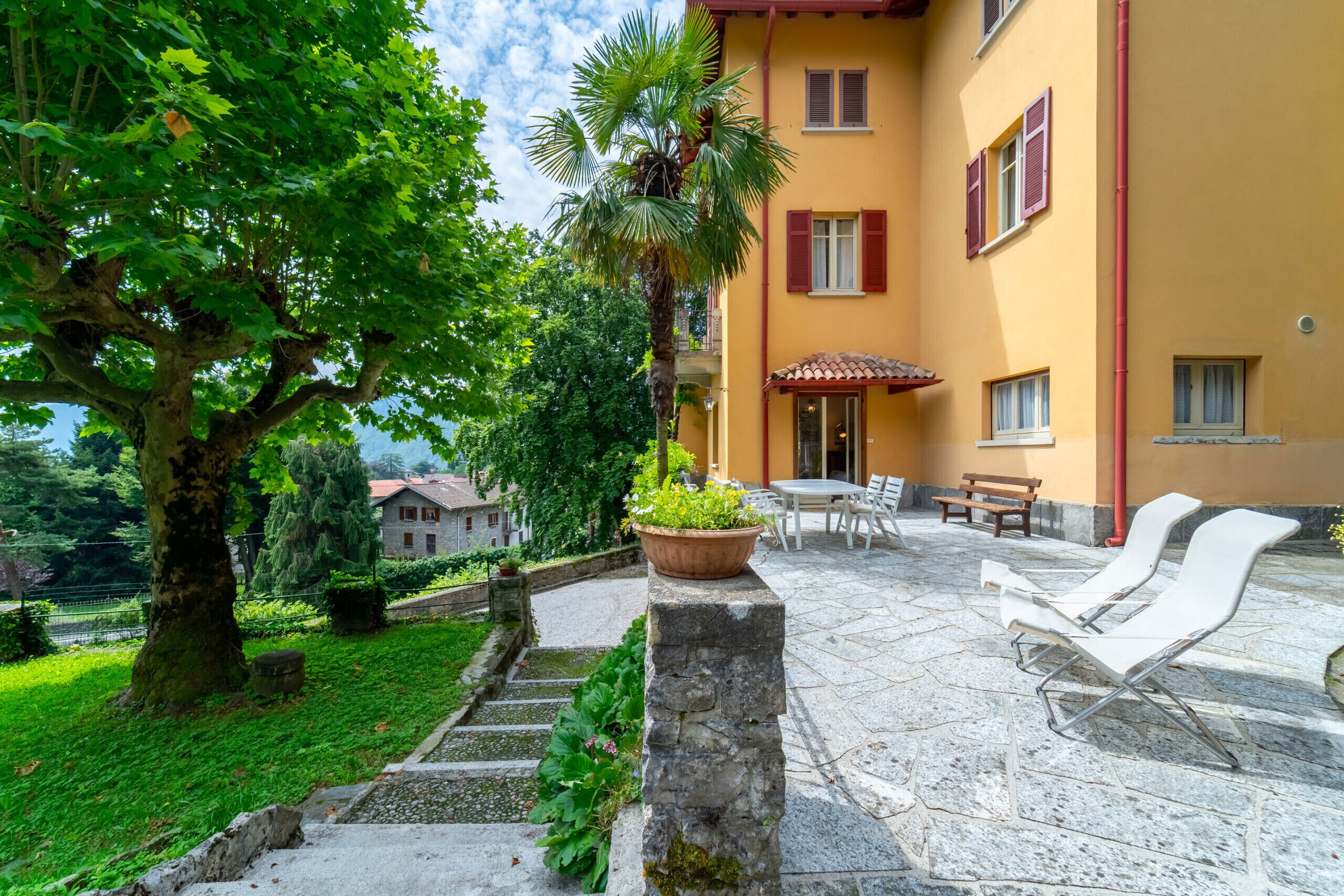 A courtyard with a stone bench, a palm tree, and a building with red shutters.