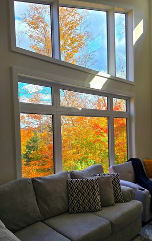 Smart TV, chimenea y libros 