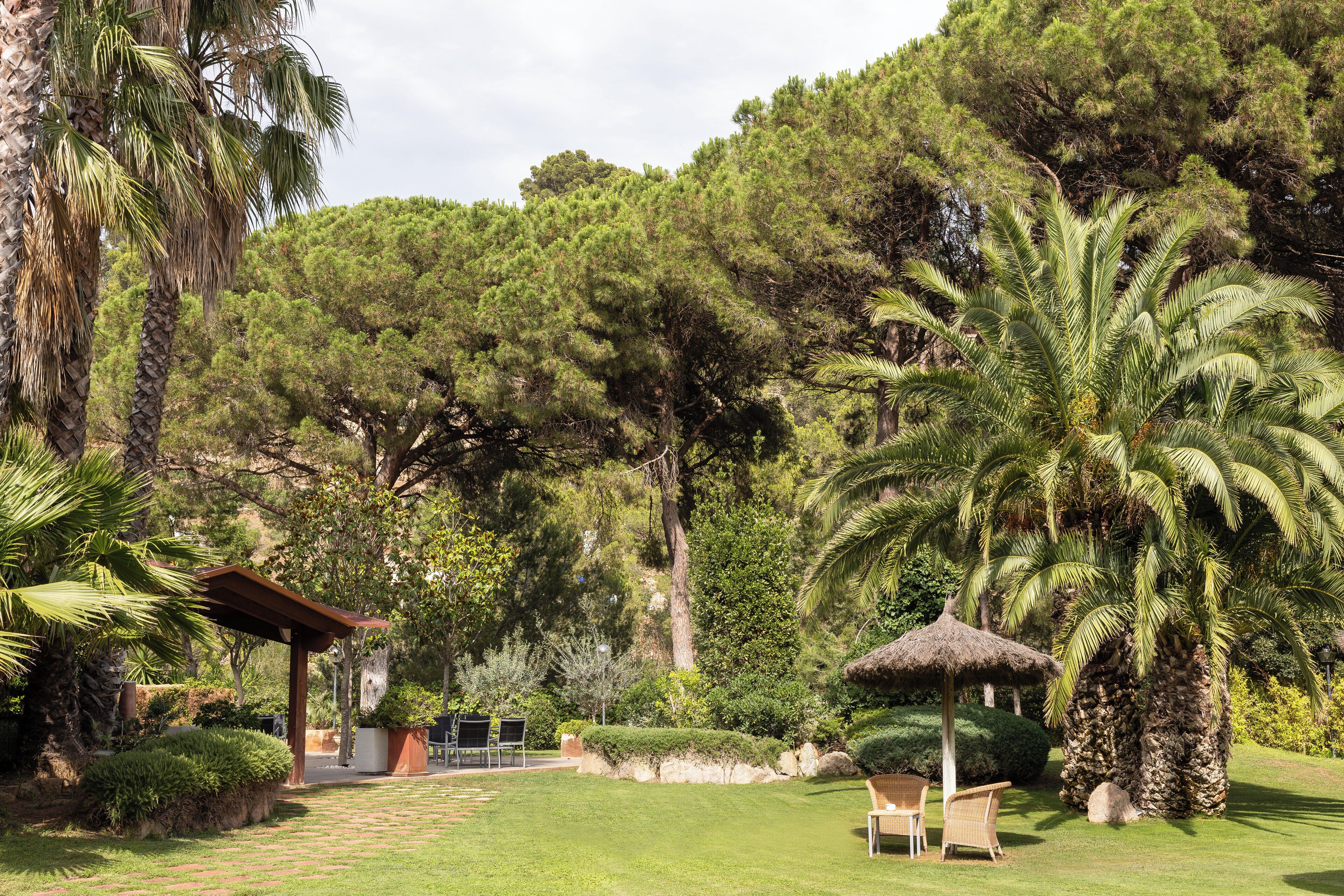 Un jardin luxuriant agrémenté de palmiers, d’une pergola et d’un espace aménagé pour s’asseoir.