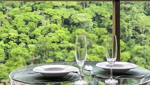 Une table avec deux assiettes et deux verres, placée devant un décor de feuillage vert et luxuriant.