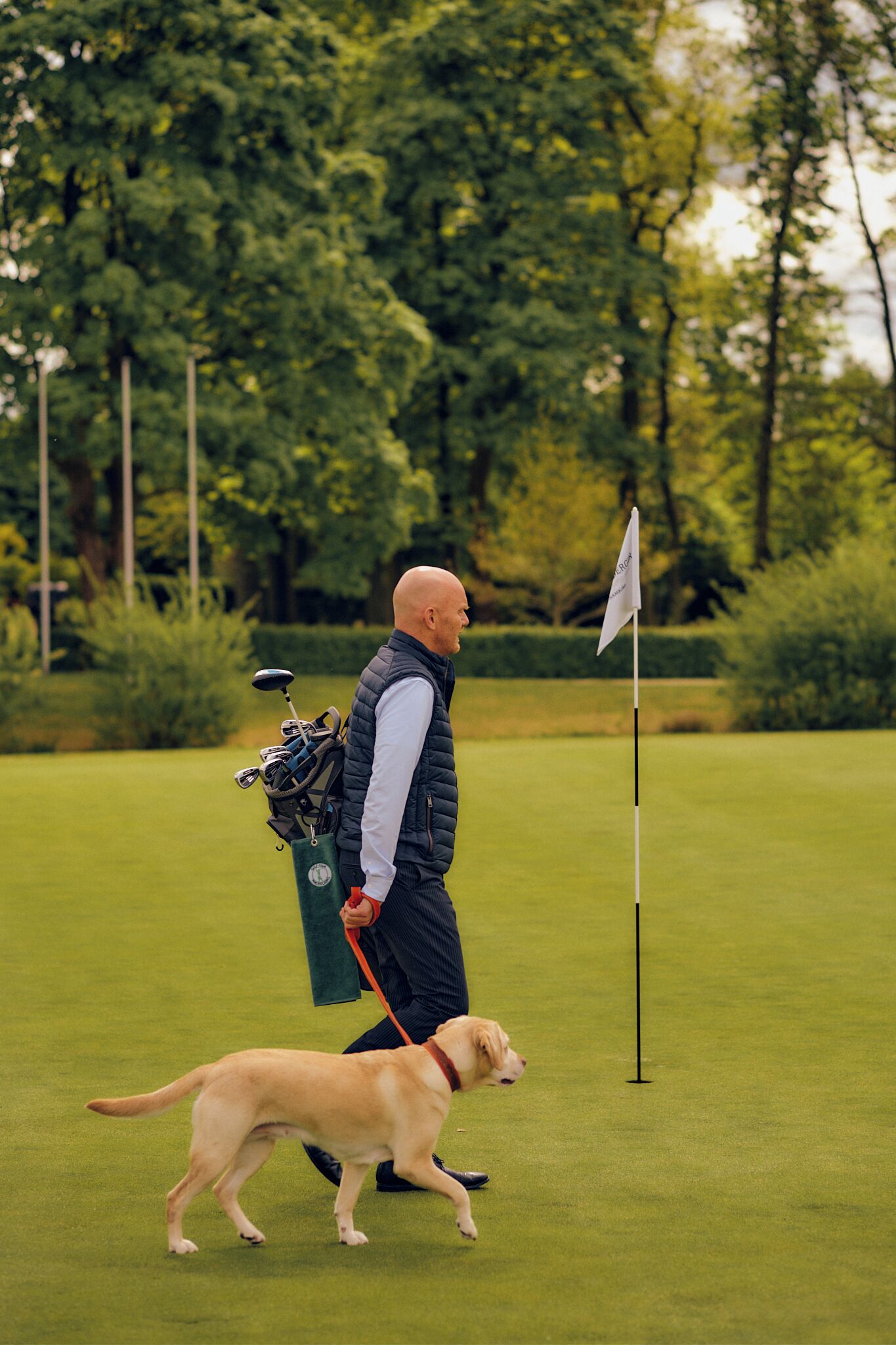 Ein Mann führt einen Hund auf einem Golfplatz, wo ein Golfbag und eine Fahne auf dem Grün zu sehen sind.