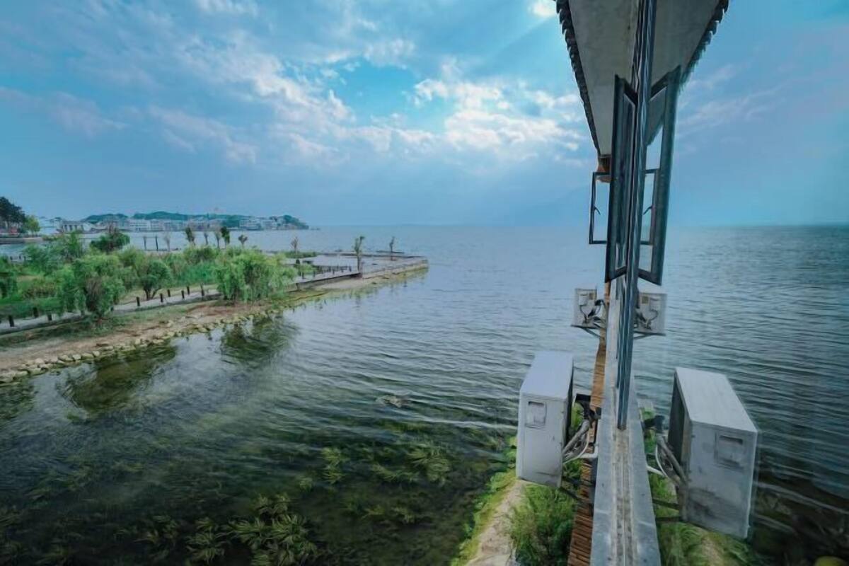 Vista al agua con un muelle que se adentra en el agua, rodeado de follaje.