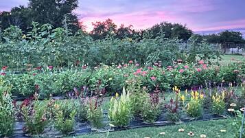 Overnatningsstedets område