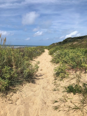 A sandy path leading to a beach with sparse vegetation on either side.