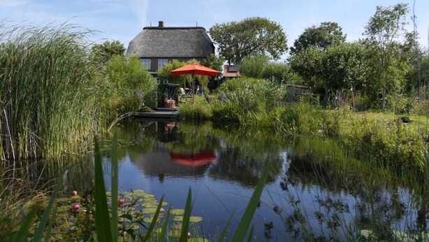 Een huis met rieten dak, omringd door weelderige begroeiing en een vijver met waterlelies.