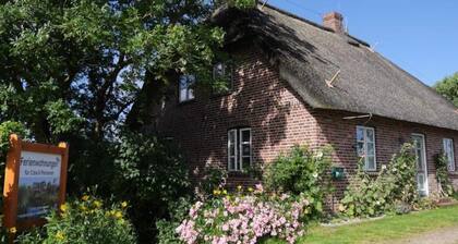 am Westerdeich Comfortable Holiday Residence