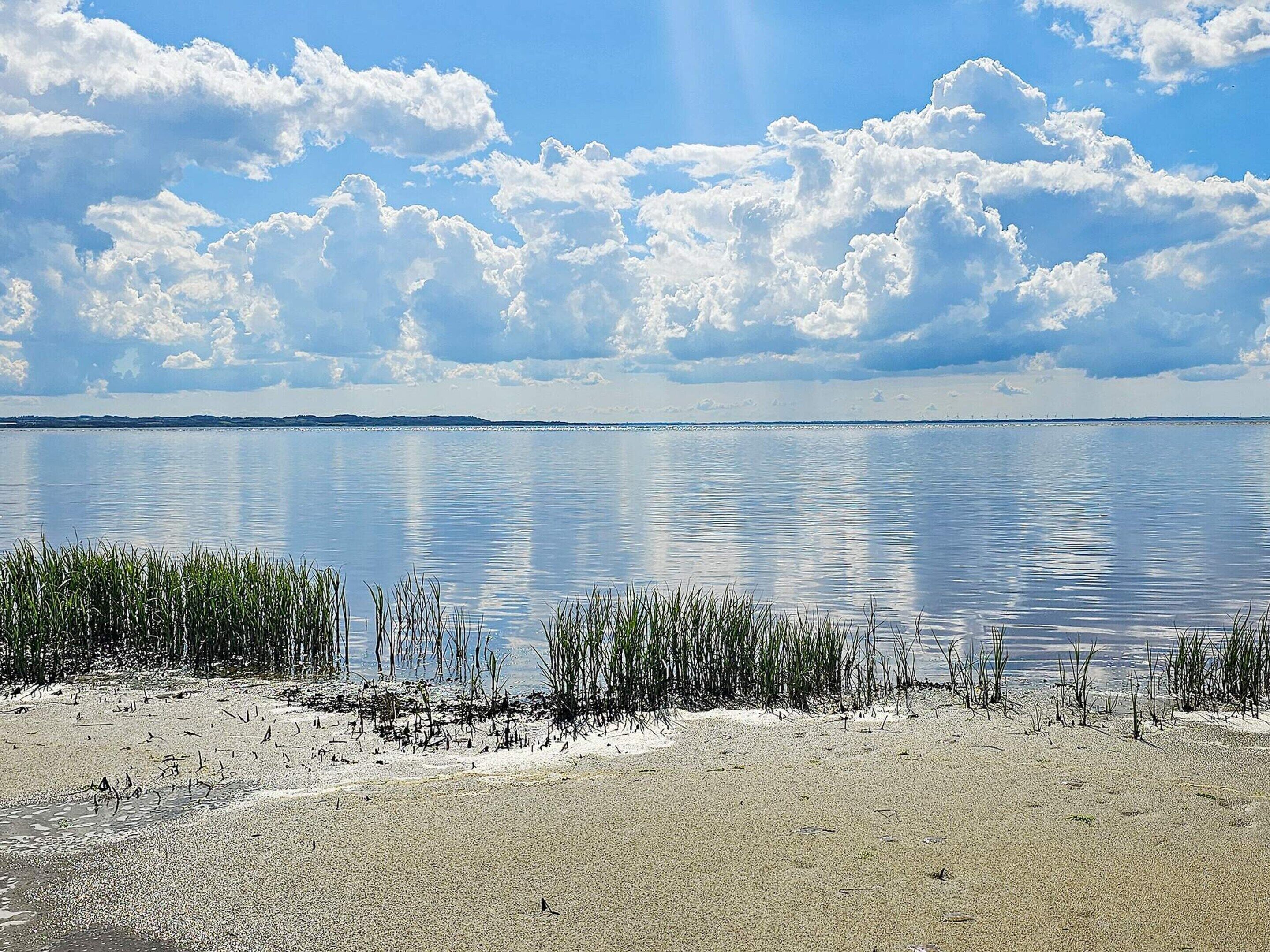 A calm lake with a sandy shore and tall grasses in the foreground, under a partly cloudy sky.