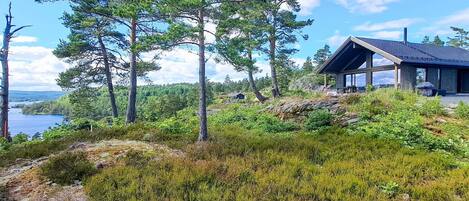 A cabin with a large window overlooking a forest and a lake.