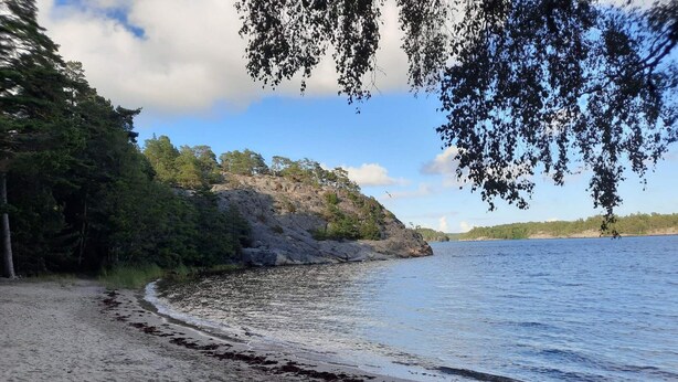 A beach with a rocky shoreline and trees. - 6 Person Holiday Home in Djurhamn (Fågelbrolandet)