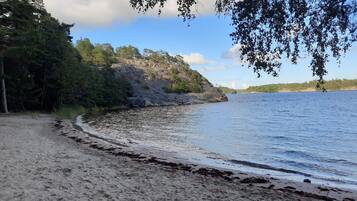 A beach with a rocky shoreline and trees.