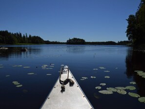 A calm lake with lily pads and a dog on a boat. - 3 Person Holiday Home in Munkforss (Munkfors)