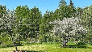 A grassy field with trees, some with white blossoms, and a clear blue sky. - 5 Person Holiday Home in Ydre (Österbymo)