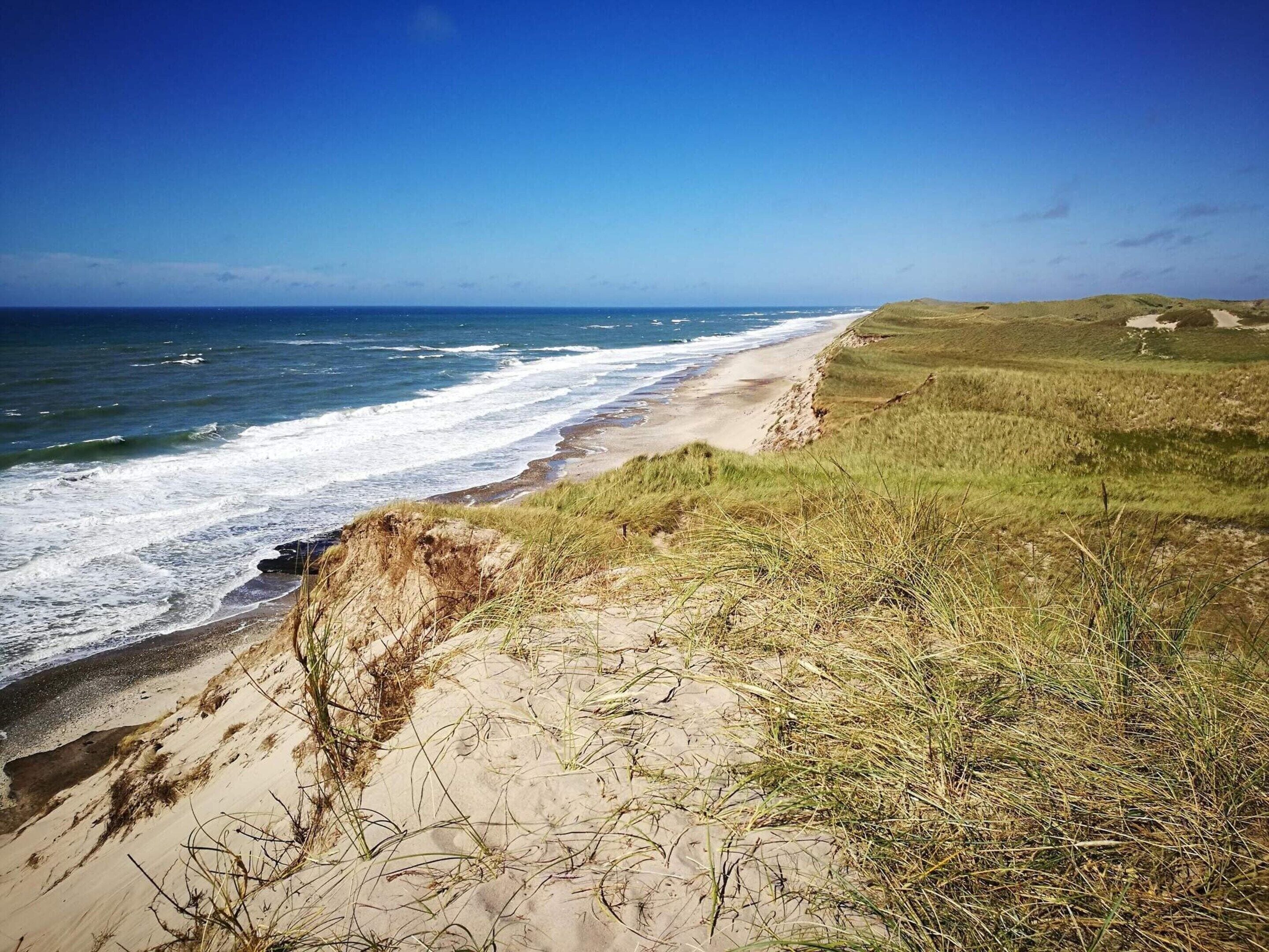 A coastal landscape with a sandy beach, grassy dunes, and the ocean.