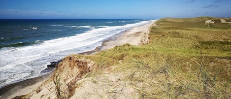 A coastal landscape with a sandy beach, grassy dunes, and the ocean.