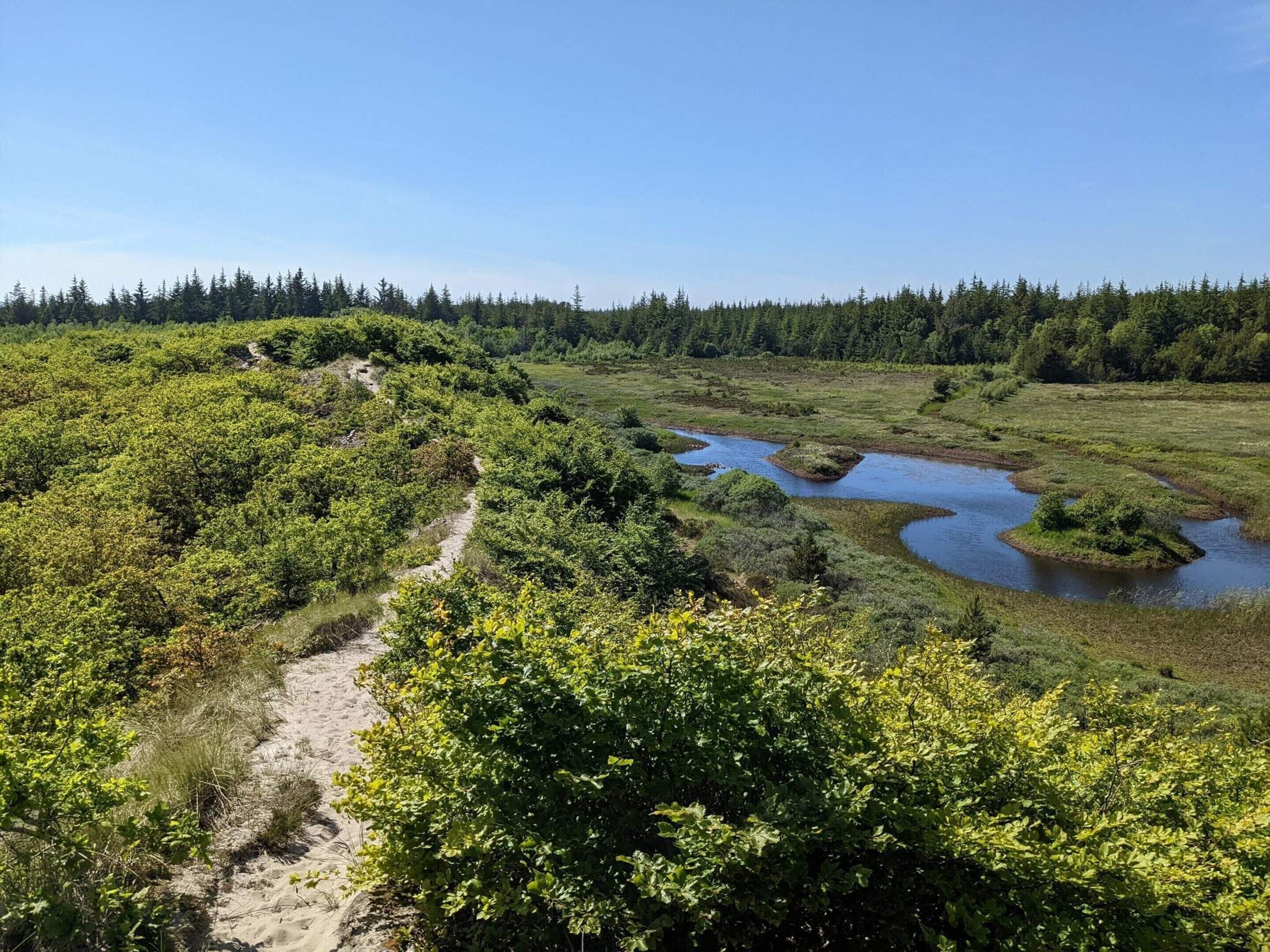 Een natuurlijk landschap met een rivier, weelderige begroeiing en een heldere lucht.