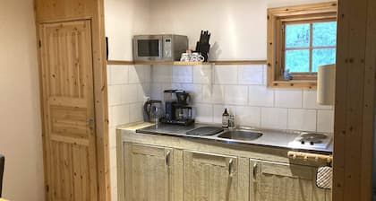 6 Person Holiday Home in Furudal
