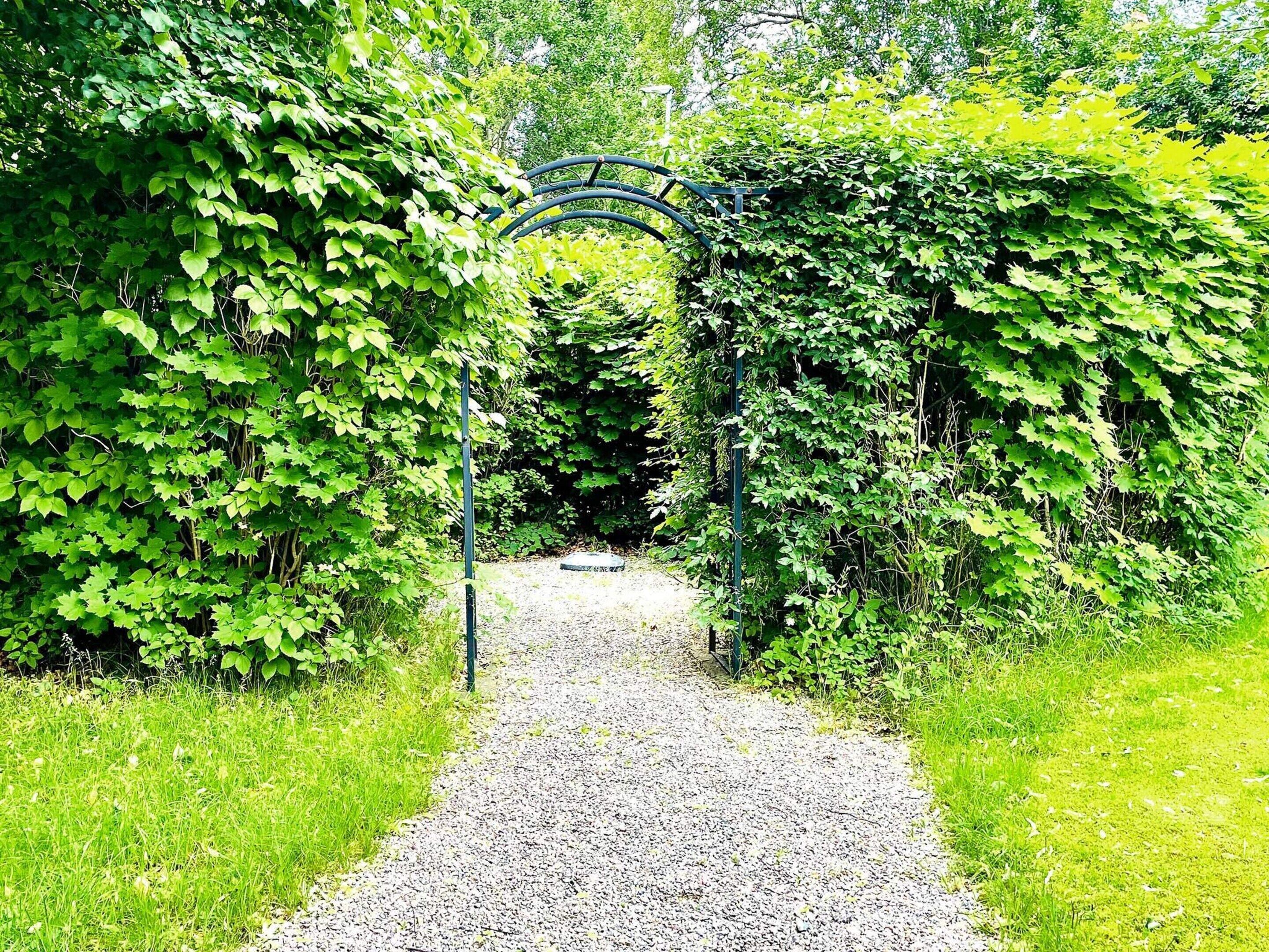 House | Property grounds