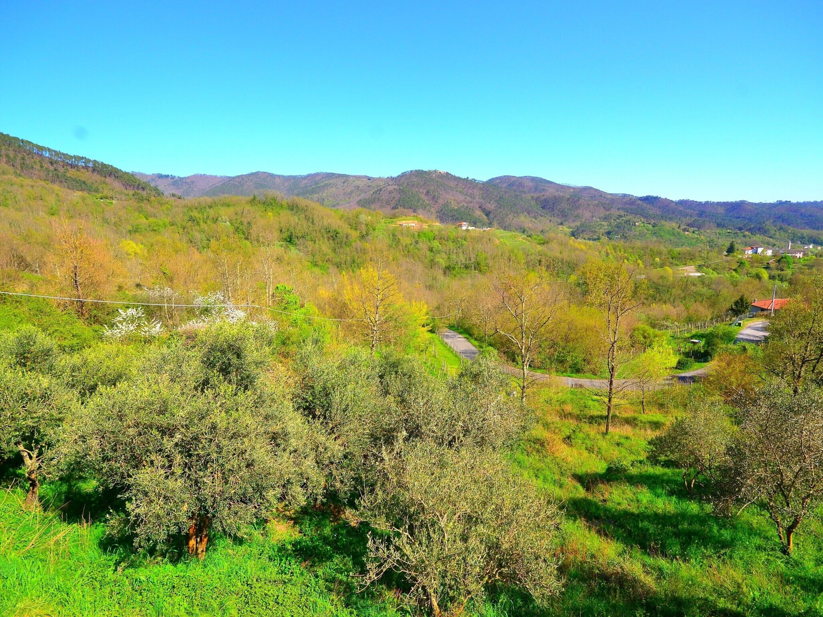 Ländliche Landschaft mit einer kurvenreichen Straße, grünen Feldern und sanften Hügeln in der Ferne.
