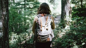 A person walking on a forest trail with a backpack. - 6 Person Holiday Home in Mellbystrand (Mellbystrand)