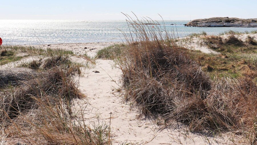 4 Star Holiday Home in Varberg