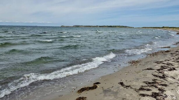 Une plage où les vagues viennent lécher le rivage, un ciel dégagé et une terre lointaine à l’horizon.