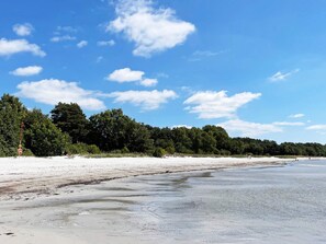 A beach with a sandy shore, trees in the background, and a clear sky.