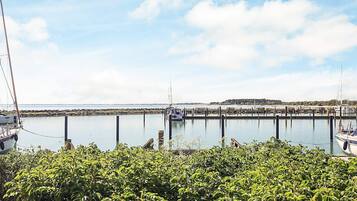 A marina with boats docked, a clear sky, and a distant shoreline.