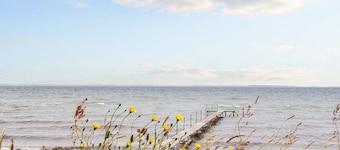 12 Person Holiday Home in Nordborg
