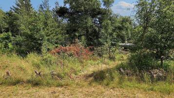 Ferienhaus | Außenbereich