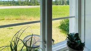 En utsikt från ett fönster med metallram och en dörr, med utsikt över en grön äng och träd.