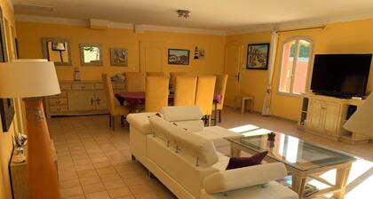 Beautiful recent house with swimming pool surrounded by flowers 1 km from the beach