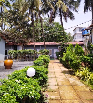 Garden - Jungle by sturmfrei Morjim (Morjim)