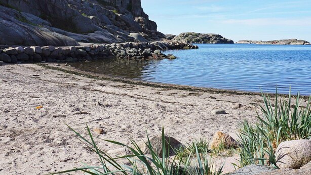 A rocky shoreline with calm water, a clear sky, and sparse vegetation. - 4 Star Holiday Home in Hamburgsund (Hamburgsund)