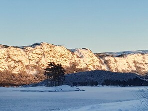 House | 2 bedrooms, individually furnished - 5 Person Holiday Home in Treungen (Nissedal)
