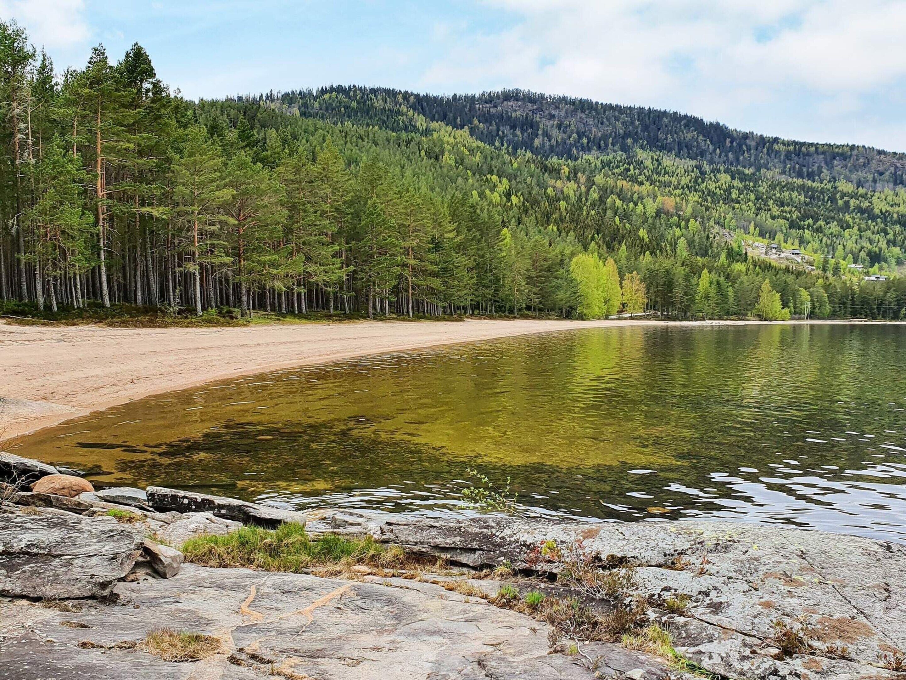 House | Property grounds