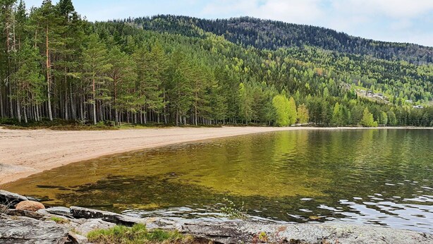 Ein See mit steiniger Uferlinie, dichtem Wald und einer fernen Bergkette im Hintergrund.