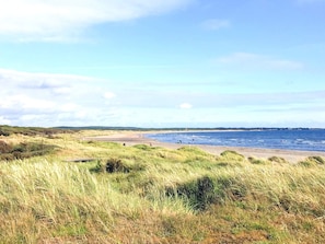 A coastal landscape with a beach, grassy dunes, and a clear sky. - 4 Person Holiday Home in Mellbystrand (Mellbystrand)