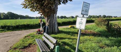 A rural road with directional signs for routes 89 and 88, a bench, and a tree.