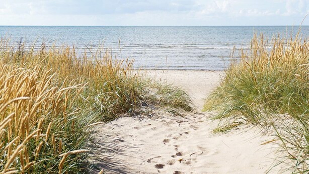 A sandy beach path leading to the ocean, surrounded by tall grass. - 5 Person Holiday Home in Falkenberg (Falkenberg)