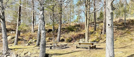 Un cadre naturel avec un banc en bois et une table de pique-nique, entourés d’arbres et bordés par un plan d’eau.