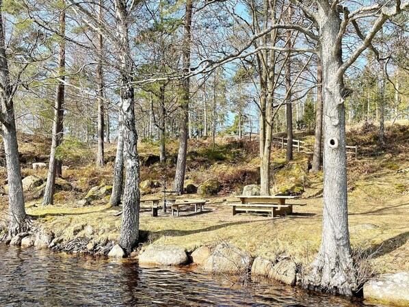 House | Exterior - 4 Person Holiday Home in Holmsjo-by Traum (Holmsjö)