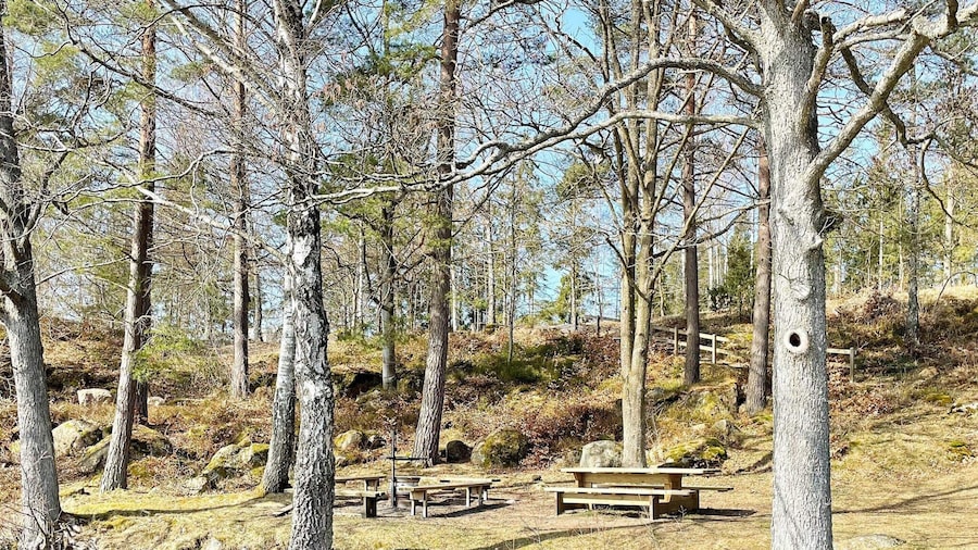 4 Person Holiday Home in Holmsjo