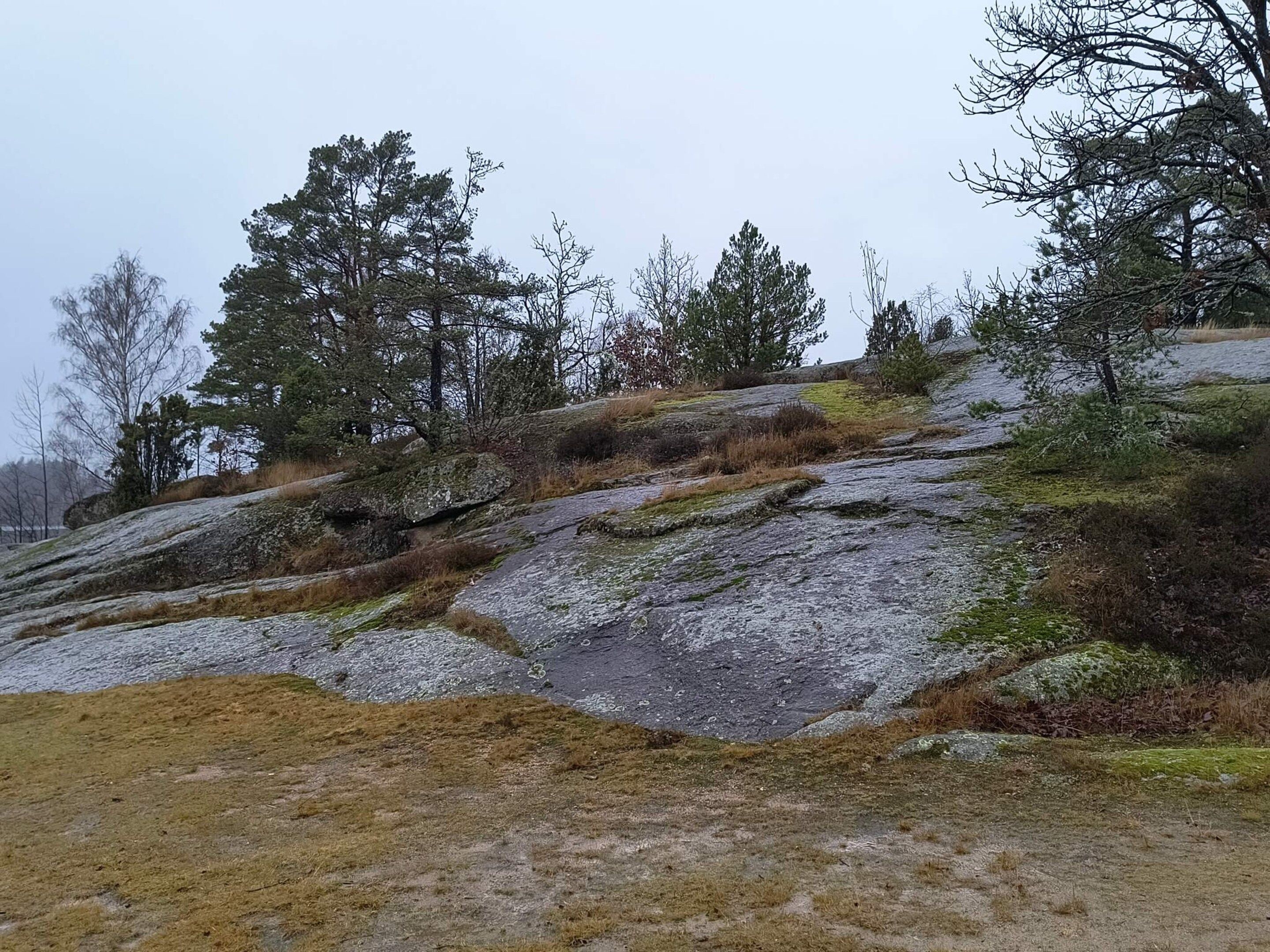 Een rotsachtig landschap met schaarse begroeiing en bomen.