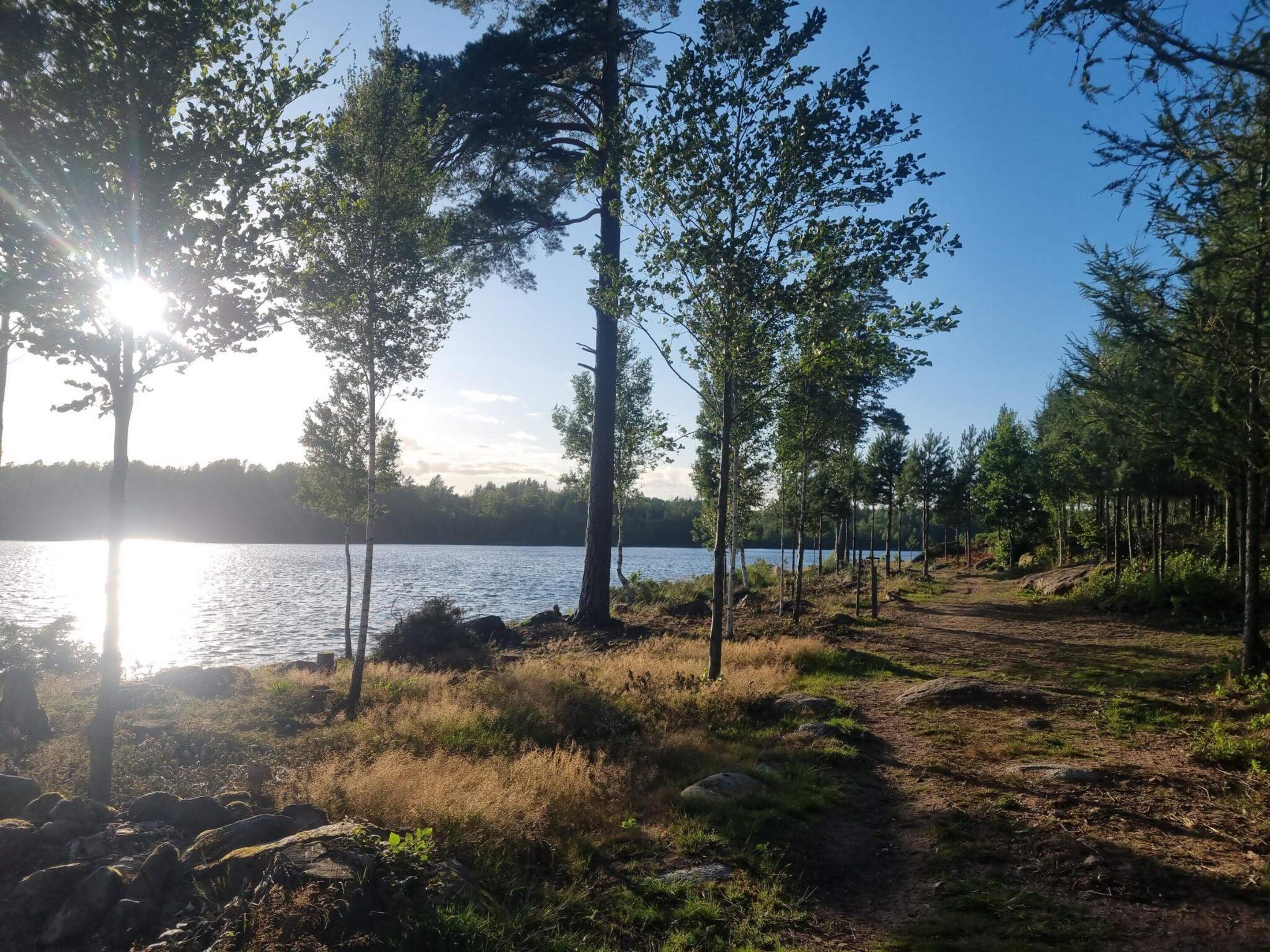 A natural landscape with a lake, trees, and a dirt path.