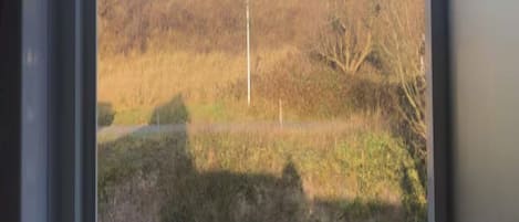 Apartment | Interior