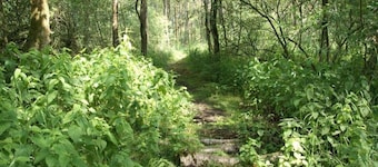 Getaway With Garden in Gelderland