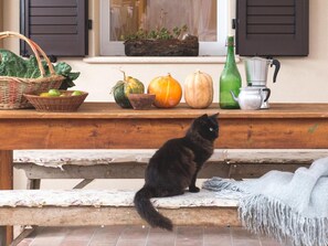 House | Garden