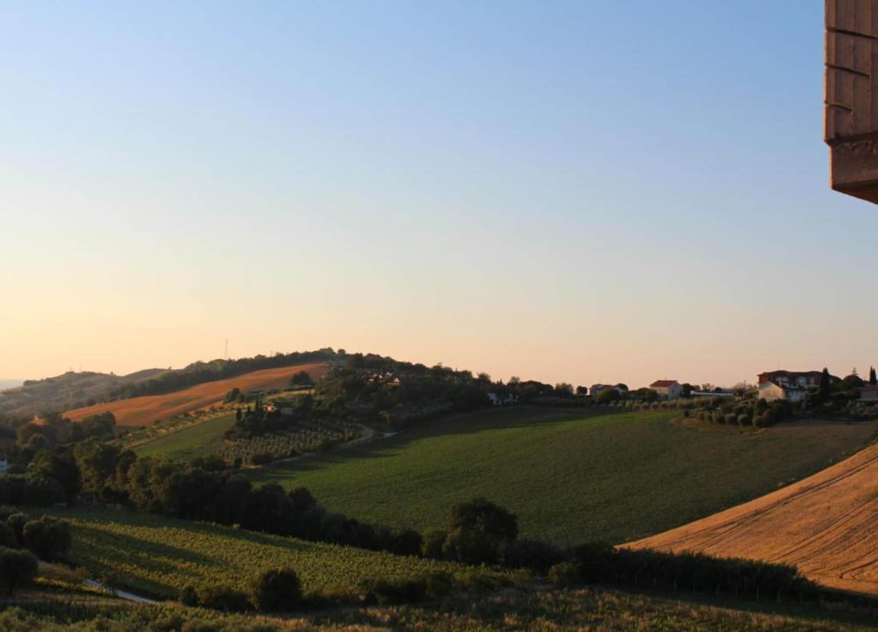 Un paysage rural caractérisé par des collines douces, des vignobles et des maisons dispersées.